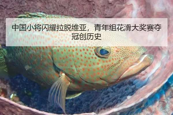 中国小将闪耀拉脱维亚，青年组花滑大奖赛夺冠创历史