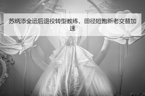 su-bing-tian-quan-yun-hou-tui-yi-zhuan-xing-jiao-lian-tian-jing-duan-pao-xin-lao-jiao-ti-jia-su-3-801.jpg